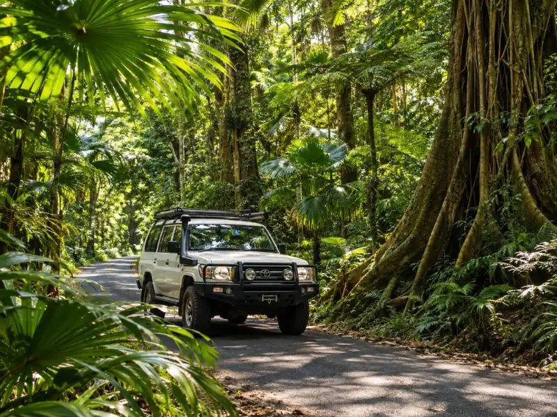 Daintree & Cape Tribulation 4WD Tour