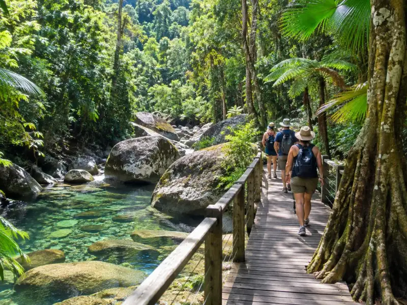 Daintree & Mossman Gorge Day Tour