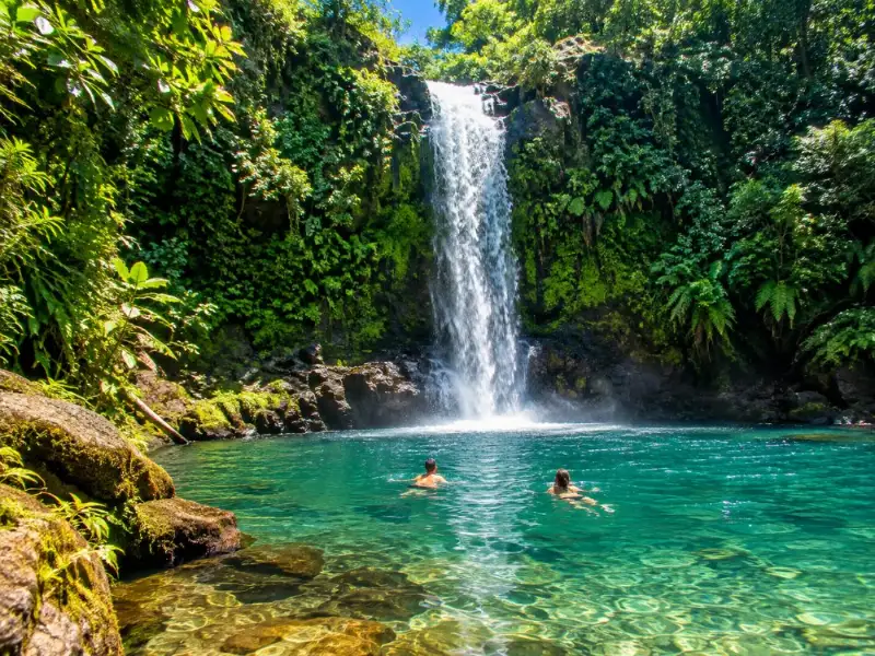 Cassowary Falls Adventure Tour