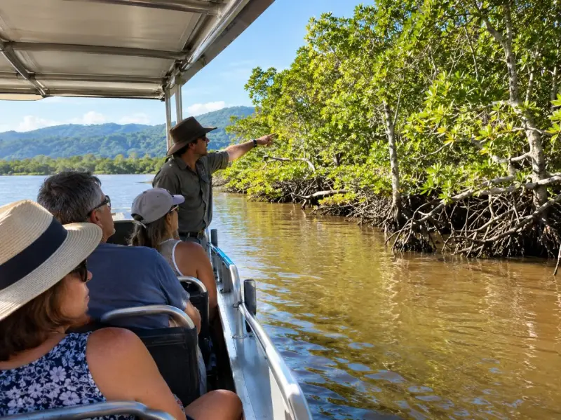Crocodile Express Daintree River Cruise