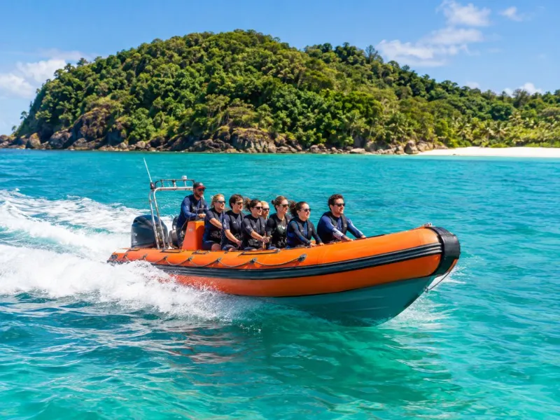 Cape Tribulation Ocean Safari